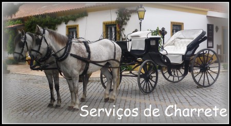 Bolero e Marquês/ Millord.JPG